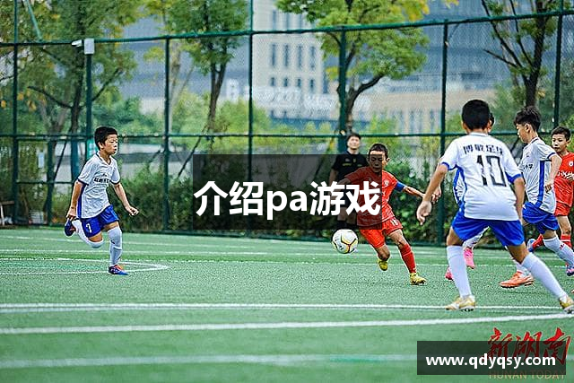 介绍pa游戏
